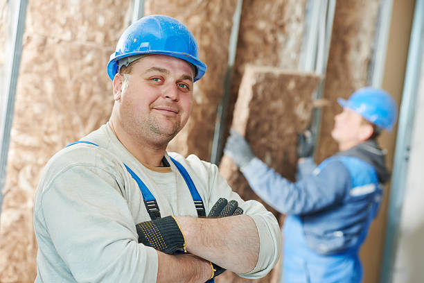 Best Insulation Installation Services in Shady Hollow, TX