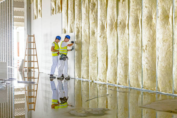 Best Insulation for Specific Applications in Shady Hollow, TX